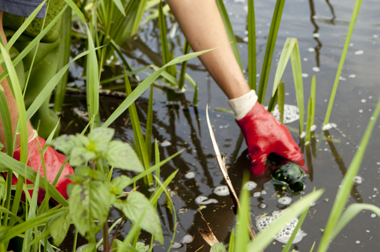 soil and groundwater sampling