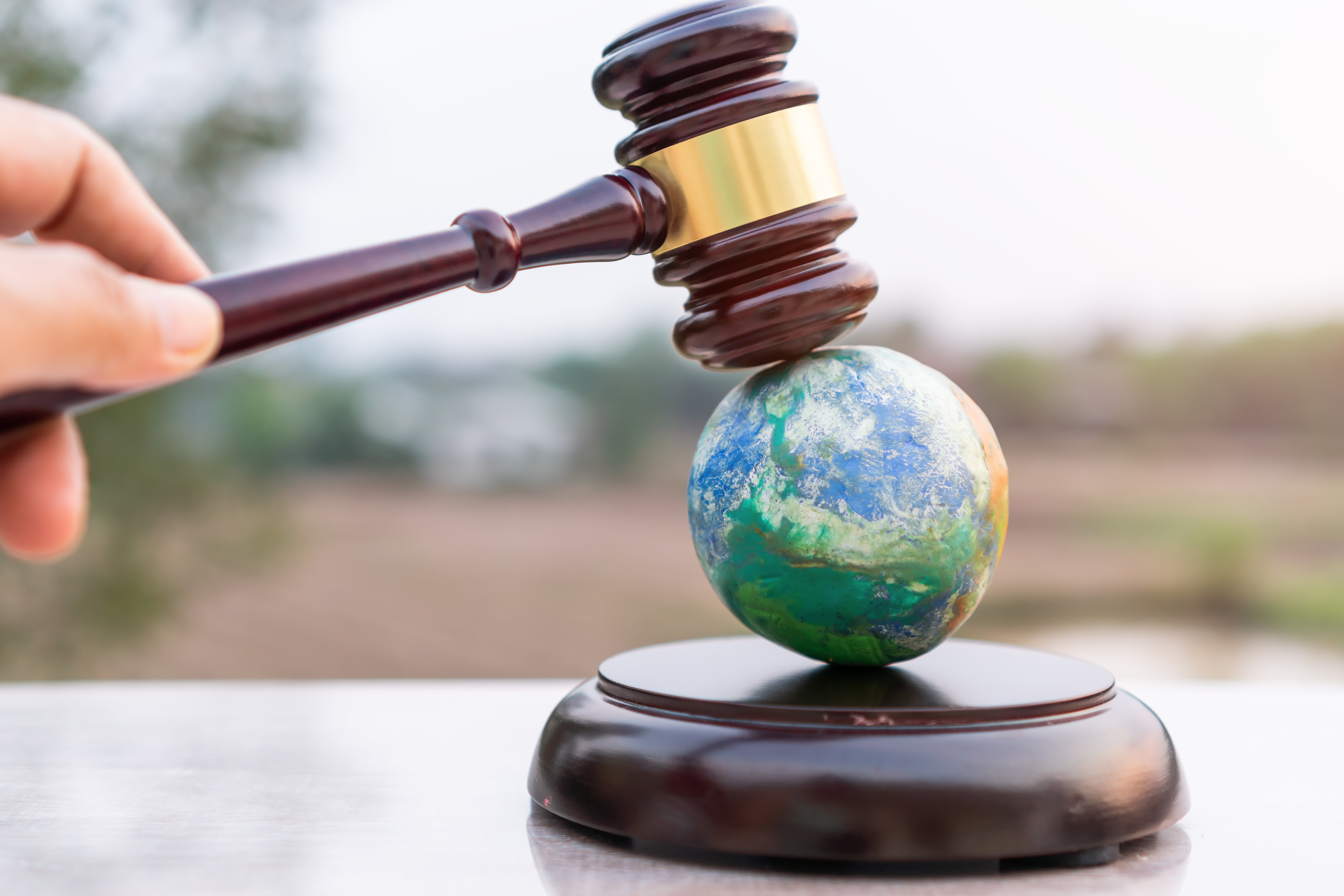 Нарушения экологических законов. Экология и право. Международное экологическое право. Международное право окружающей среды.